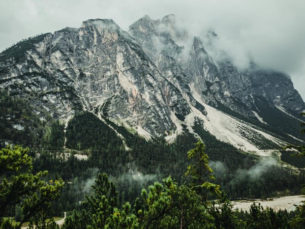 Comment préparer un itinéraire de camping pour explorer les forêts de sapins en Norvège?